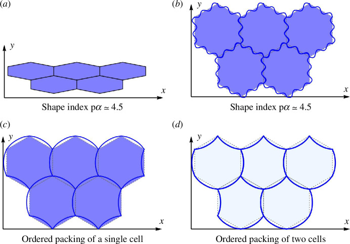 Tiling of SE and CE shapes for the same shape index and example of circular tiling.