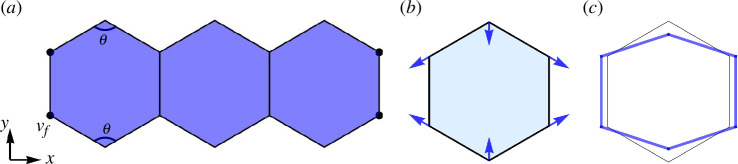 A basic model for evaluating local deformations under anisotropic stress.