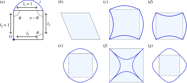 A simple rectangular cell model. Different representations of cells with the same shape index.