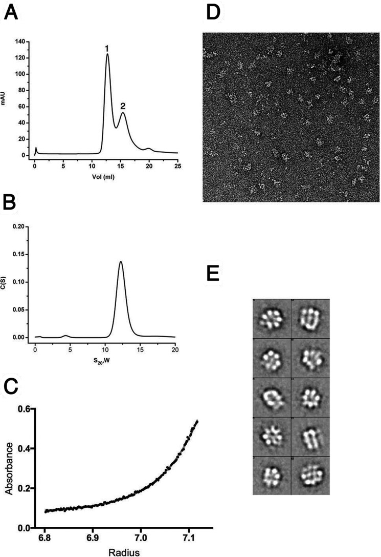 FIGURE 5.