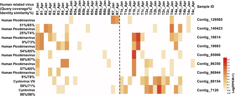 Fig. 4