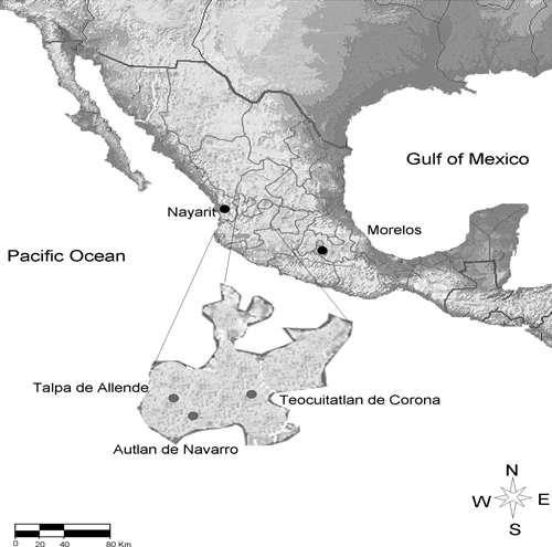 Figure 1.