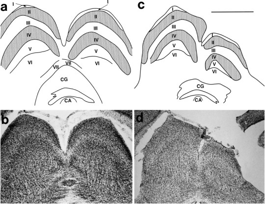 Fig. 9.