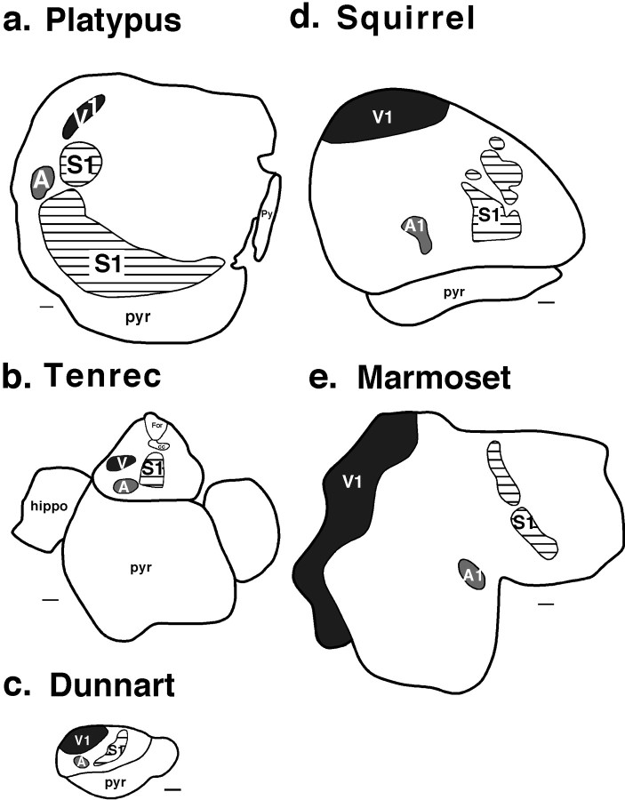 Fig. 10.