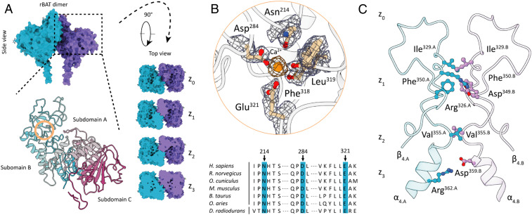 Fig. 2.