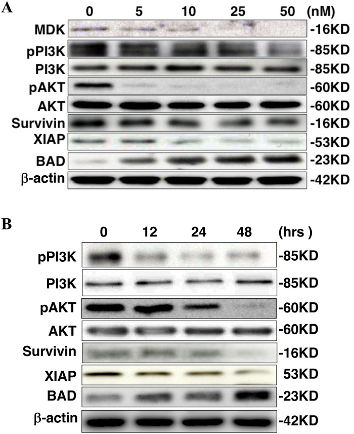 Fig 5