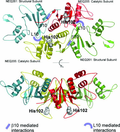 Fig. 6.