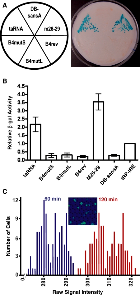 Figure 4.