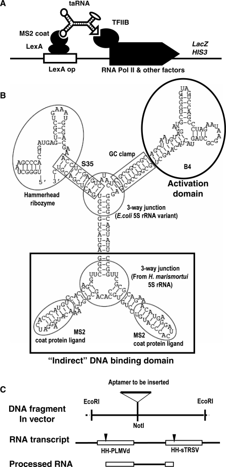 Figure 2.