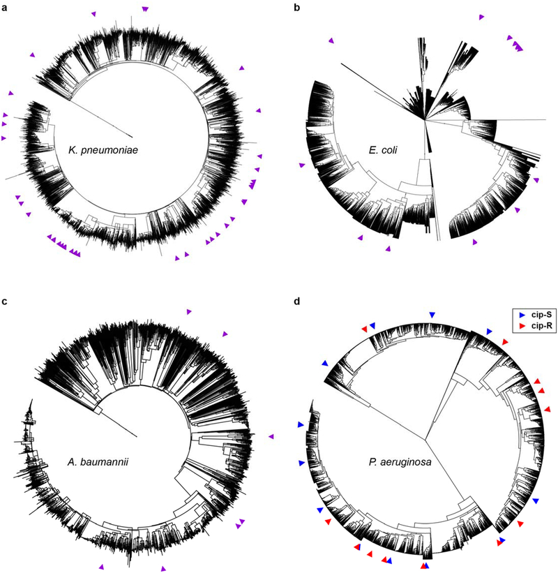 Extended Data Figure 3.