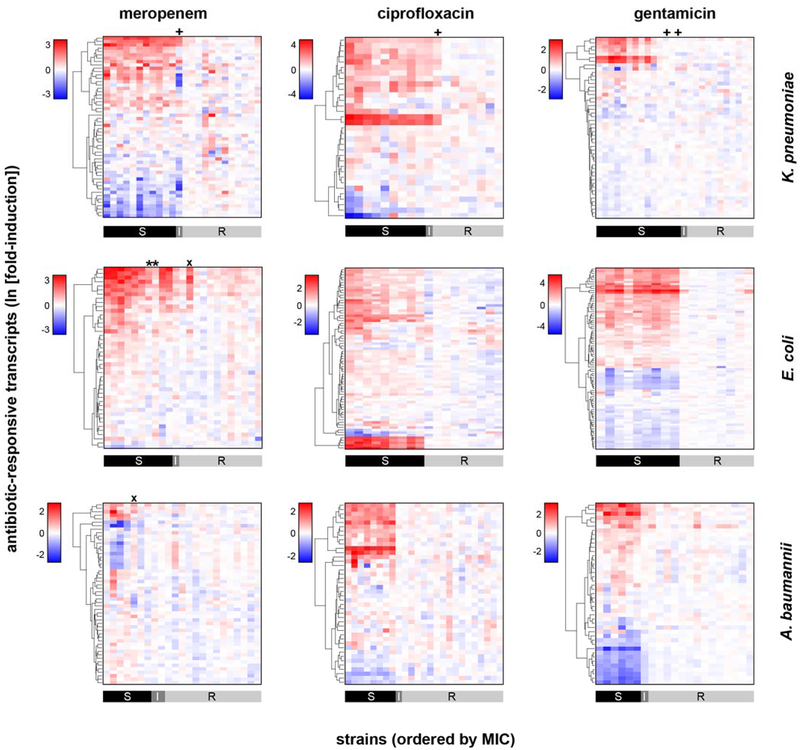 Extended Data Figure 4.