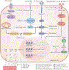 Fig. 3 |