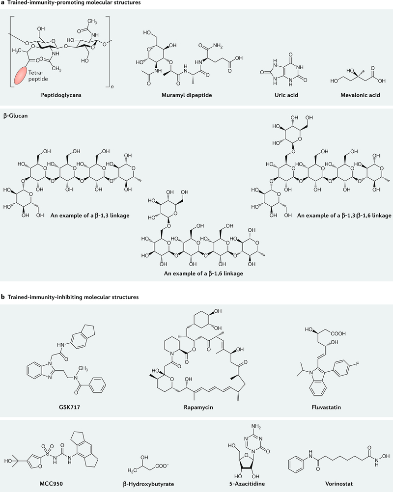 Fig. 4 |