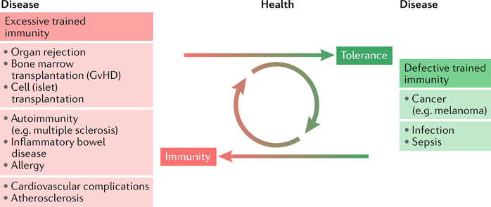 Fig. 1 |