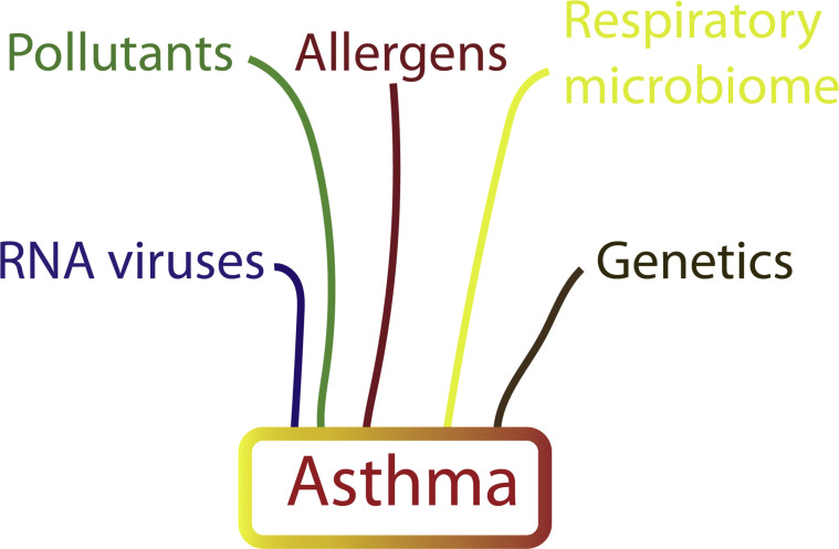 Figure 1