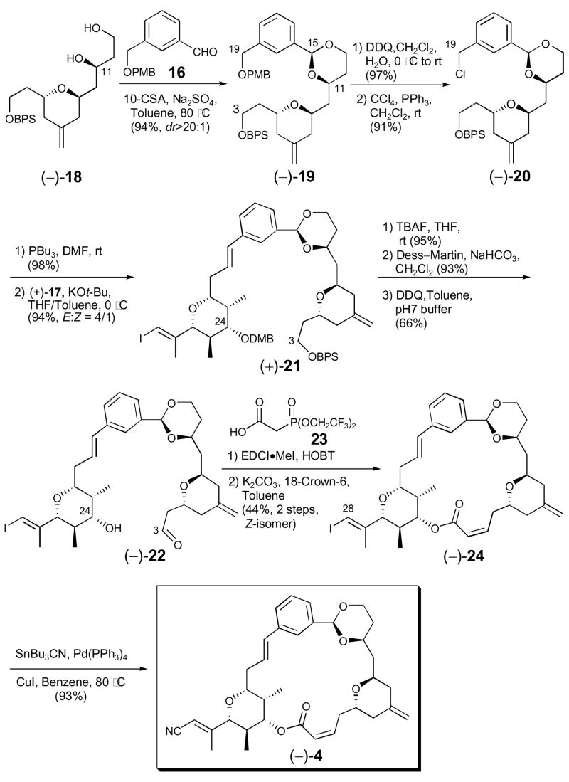 Scheme 4