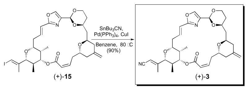 Scheme 2