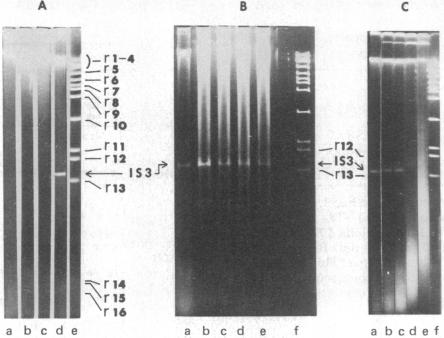 graphic file with name pnas00037-0157-a.jpg