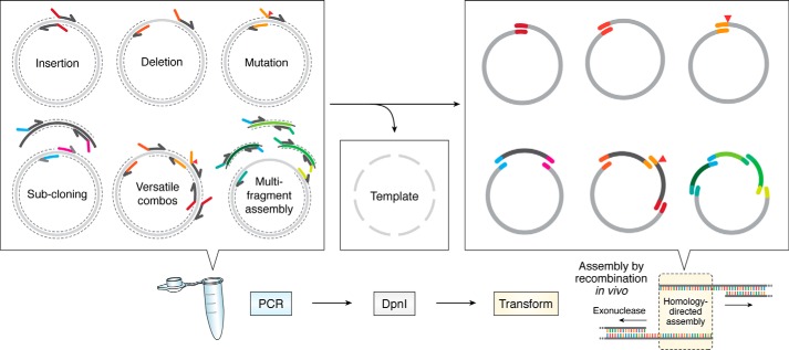 Figure 5.