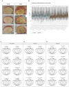 Figure 1—figure supplement 1.