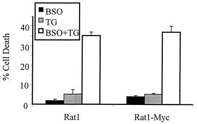 FIG. 10