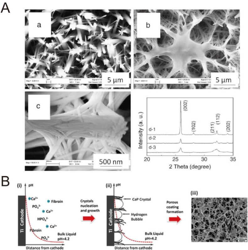 Fig. 8