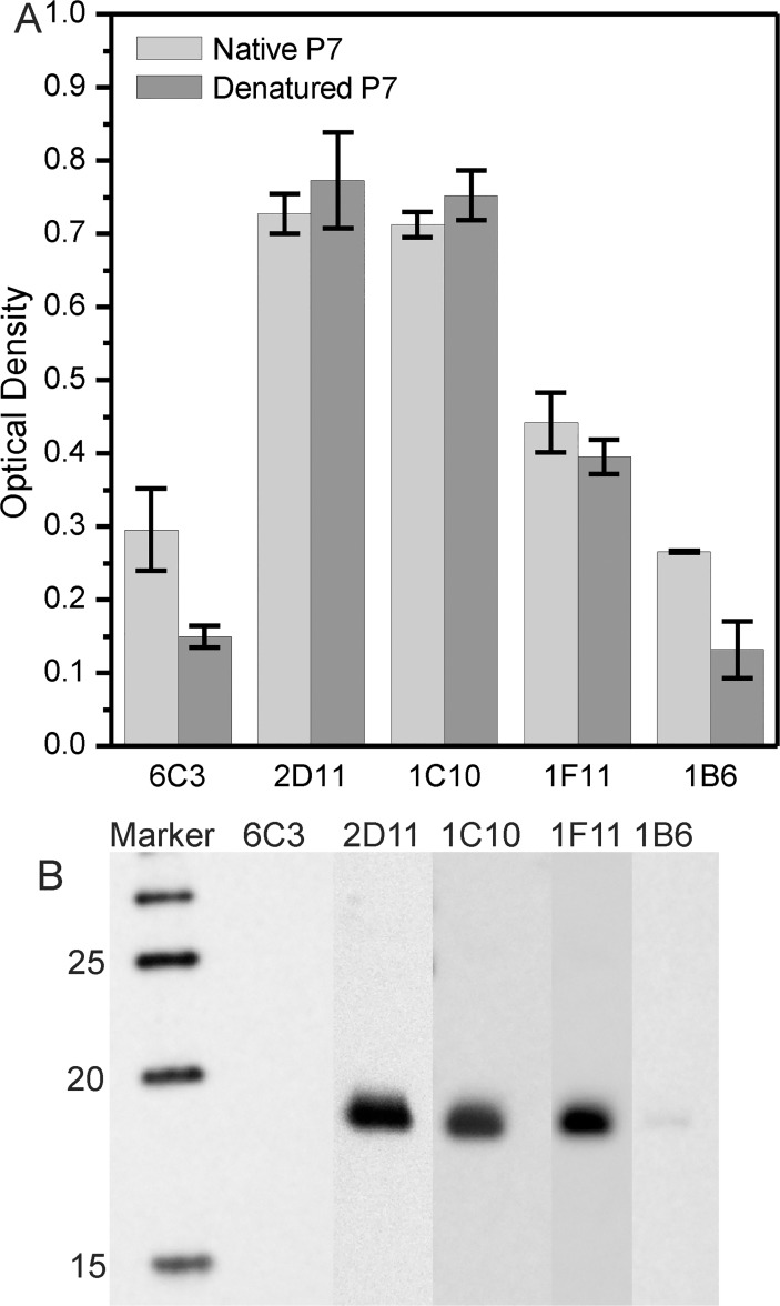 Fig 4