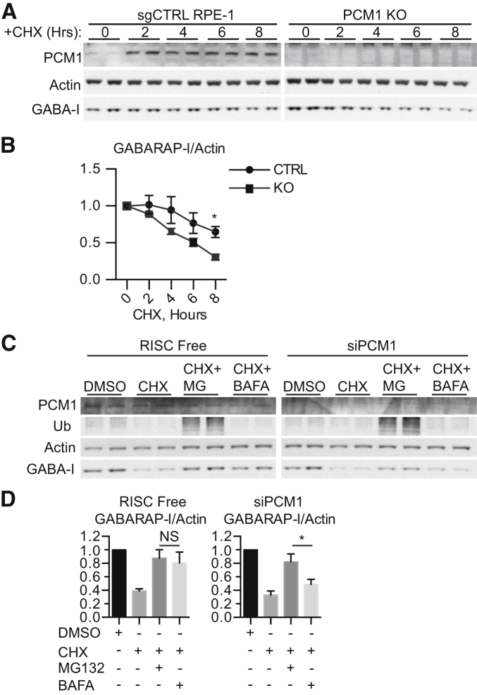 Figure 6