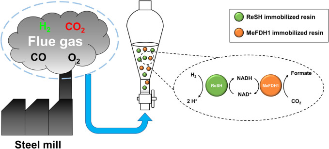 FIGURE 1