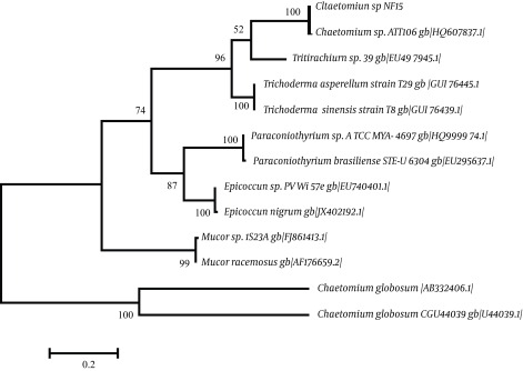 Figure 3.