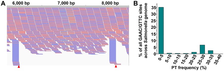 Fig 6