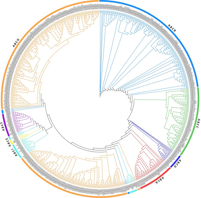 Fig 3