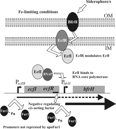 FIG. 7.