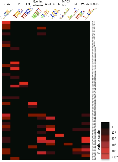 Figure 7.