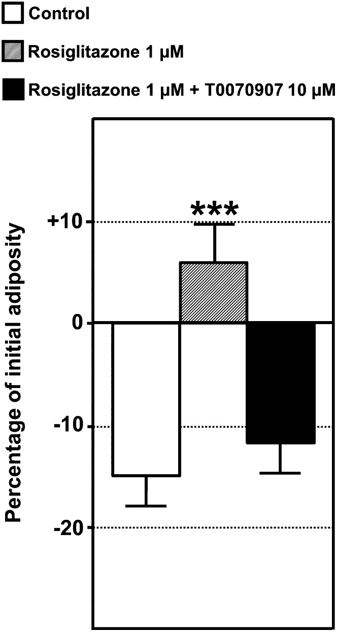 Fig.7.