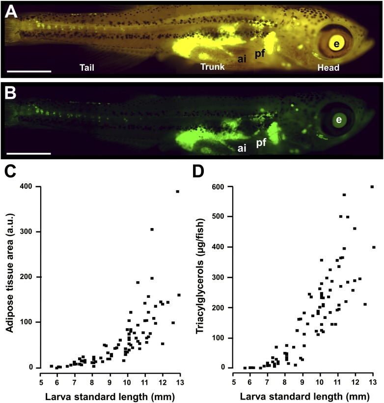 Fig.2.