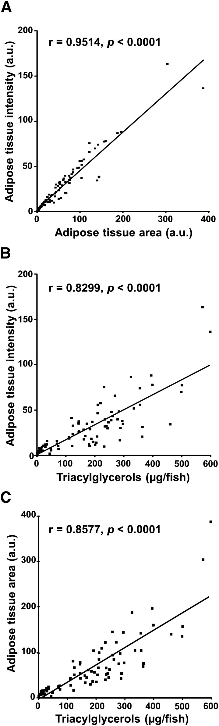 Fig.3.