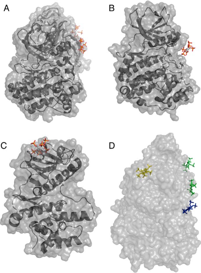 Figure 6.