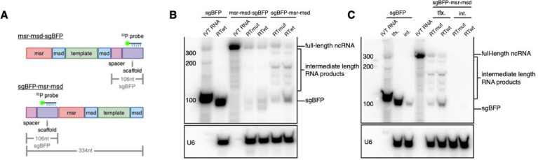 Figure 3.