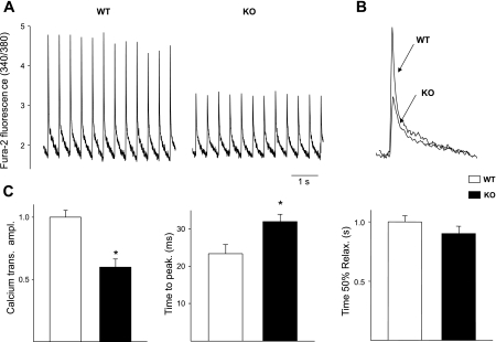 Fig. 5.