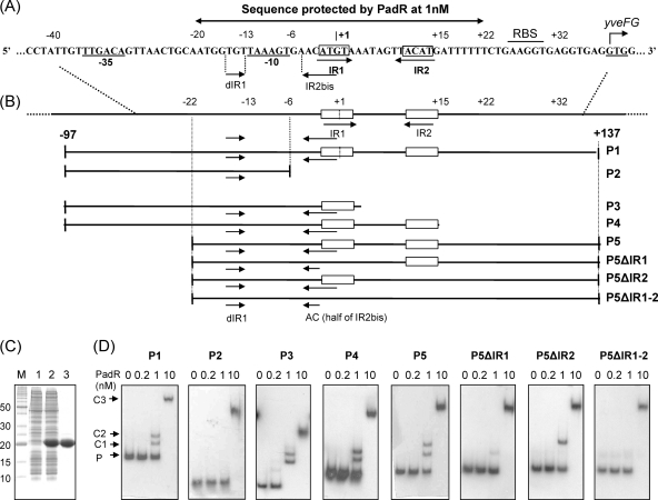 Fig. 3.