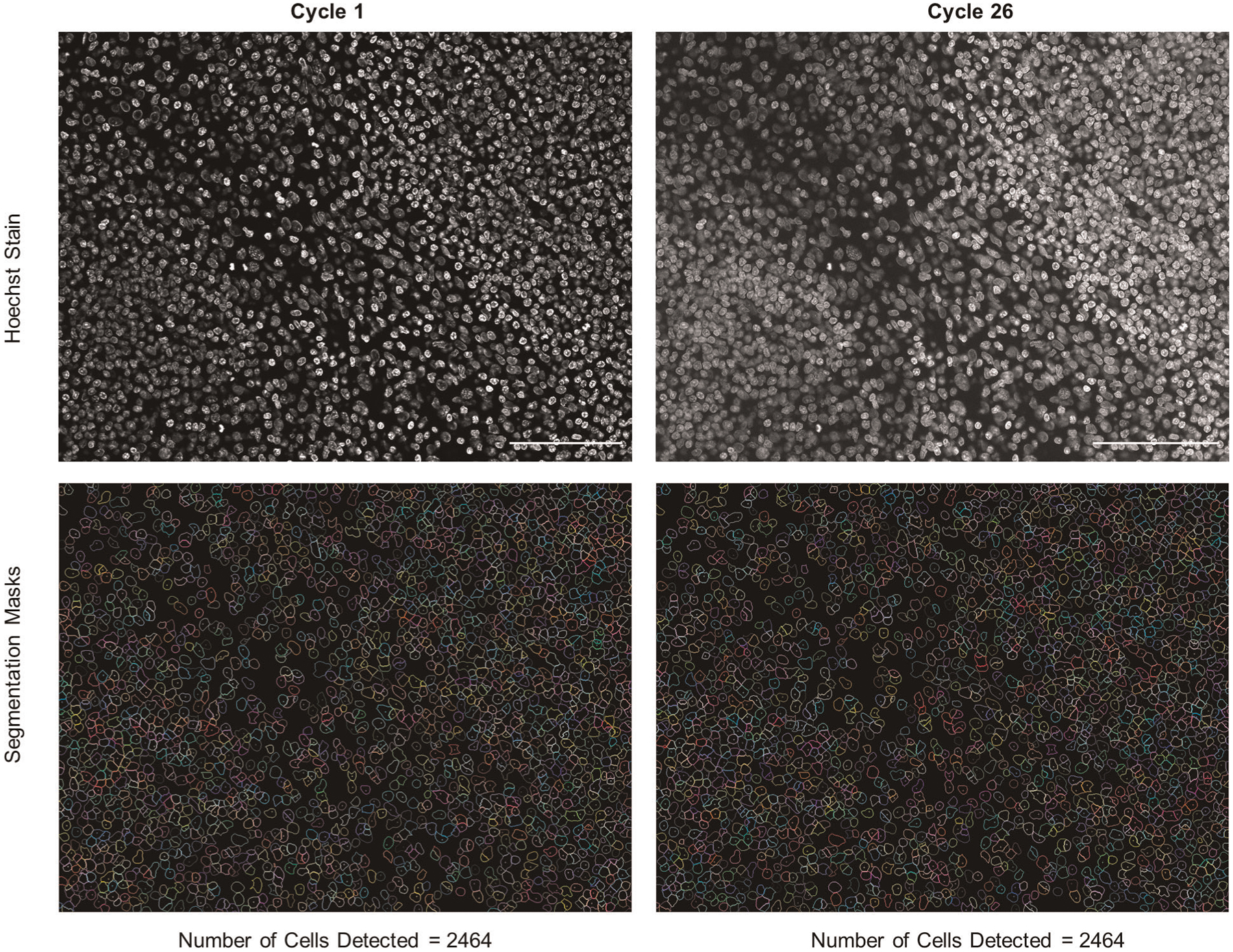 Extended Data Fig. 1 |