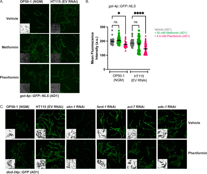 Figure 6—figure supplement 1.