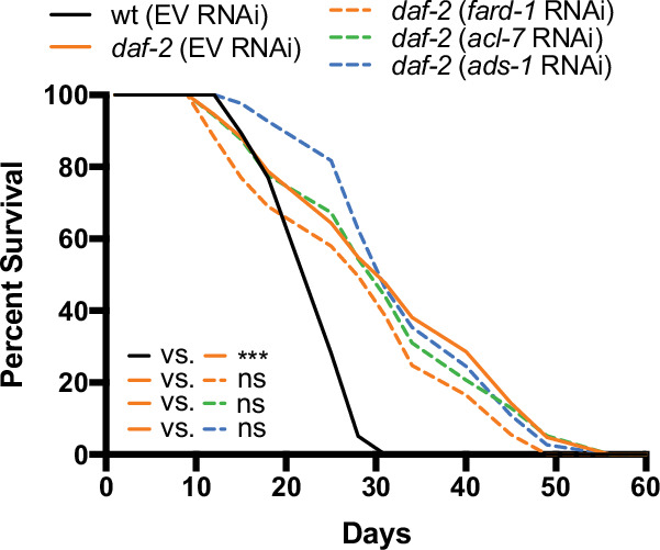 Figure 4—figure supplement 1.