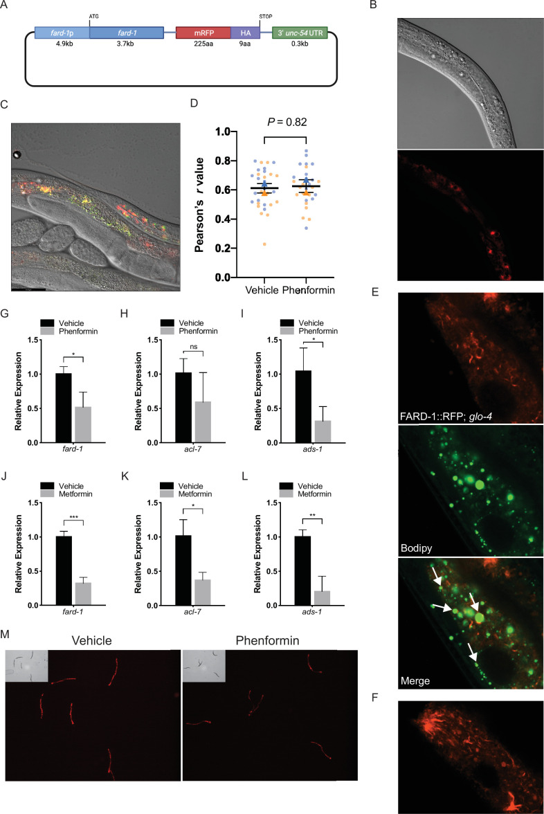 Figure 2—figure supplement 2.