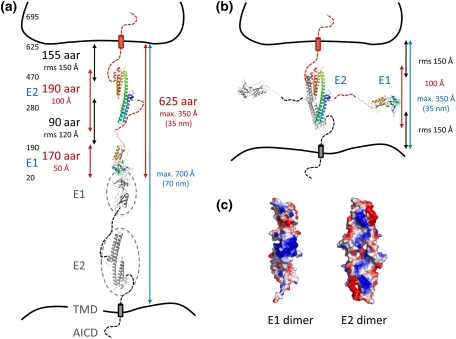 Fig. 1