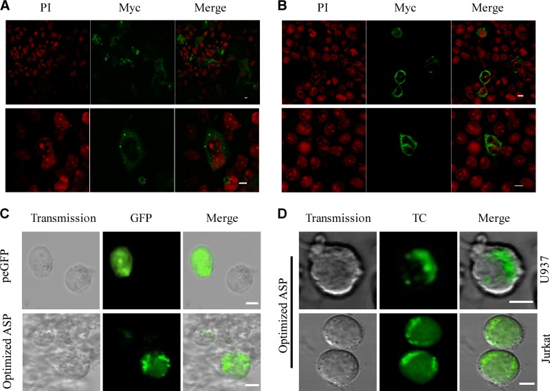 Fig 3