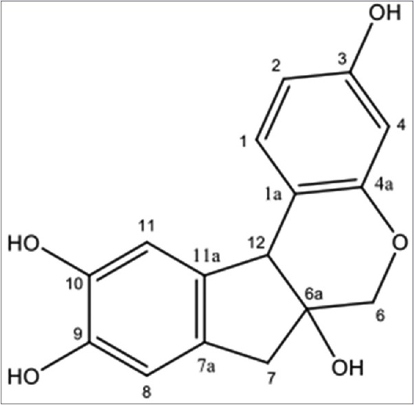 Antiproliferative activity of Haematoxylum brasiletto H. Karst - PMC