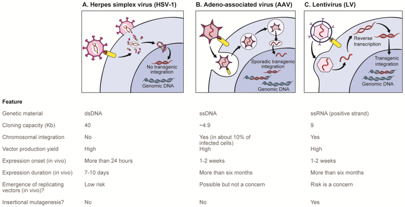 Figure 3: