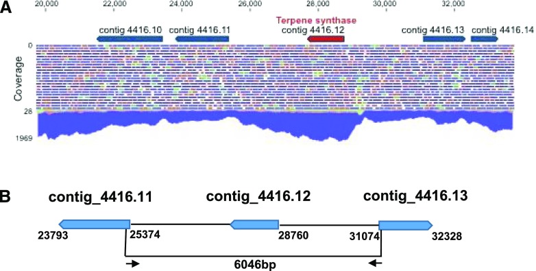 Figure 3.